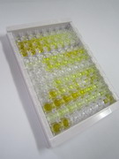 ELISA Kit for Cholesterol-25-Hydroxylase (CH25H)