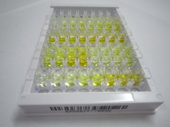 ELISA Kit for ATPase, H+ Transporting, Lysosomal Accessory Protein 2 (ATP6AP2)