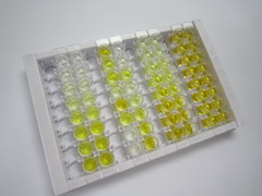 ELISA Kit for Statherin (STATH)