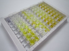 ELISA Kit for Dipeptidyl Peptidase 10 (DPP10)