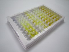 ELISA Kit for Endoplasmic Reticulum Aminopeptidase 2 (ERAP2)