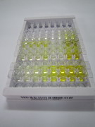 ELISA Kit for Farnesyltransferase Alpha (FNTa)