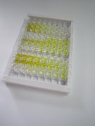 ELISA Kit for Microtubule Associated Protein RP/EB Family, Member 1 (MAPRE1)