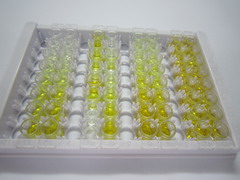 ELISA Kit for Secretoglobin Family 2A, Member 2 (SCGB2A2)