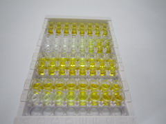 ELISA Kit for Chymase 1, Mast Cell (CMA1)