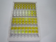 ELISA Kit for Chymase 1, Mast Cell (CMA1)