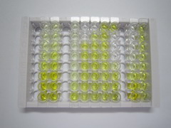 ELISA Kit for Lysophosphatidylcholine Acyltransferase 4 (LPCAT4)