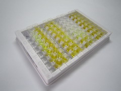 ELISA Kit for Phosphatidylethanolamine Binding Protein 1 (PEBP1)