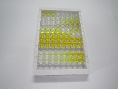 ELISA Kit for Glycine-N-Methyltransferase (GNMT)