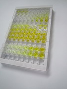 ELISA Kit for WNT1 Inducible Signaling Pathway Protein 1 (WISP1)