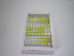 ELISA Kit for Voltage Dependent Anion Channel Protein 1 (VDAC1)