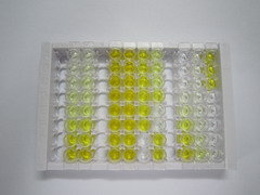 ELISA Kit for Vasohibin 1 (VASH1)