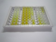 ELISA Kit for Vasohibin 1 (VASH1)