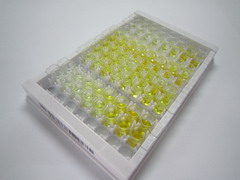 ELISA Kit for Ubiquilin 2 (UBQLN2)