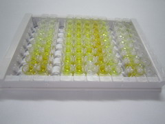 ELISA Kit for Tumor Protein, Translationally Controlled 1 (TPT1)