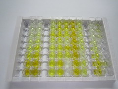 ELISA Kit for Glutaredoxin 3 (GLRX3)