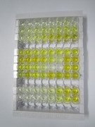 ELISA Kit for Thimet Oligopeptidase 1 (THOP1)