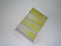 ELISA Kit for Sulfite Oxidase (SUOX)