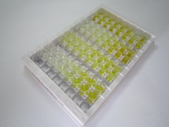 ELISA Kit for Stress Induced Phosphoprotein 1 (STIP1)