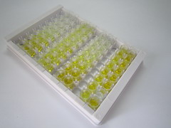 ELISA Kit for Six Transmembrane Epithelial Antigen Of The Prostate 2 (STEAP2)