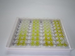 ELISA Kit for Squalene Epoxidase (SQLE)