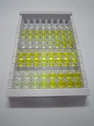 ELISA Kit for Secreted Phosphoprotein 2 (SPP2)