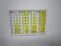 ELISA Kit for Sialic Acid Acetylesterase (SIAE)