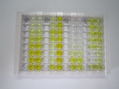 ELISA Kit for Scavenger Receptor Class B Member 1 (SCARB1)