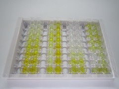 ELISA Kit for Suprabasin (SBSN)