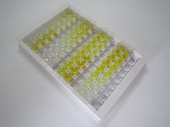 ELISA Kit for RalA Binding Protein 1 (RALBP1)