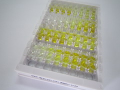 ELISA Kit for Glutaminyl Peptide Cyclotransferase (QPCT)