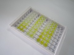 ELISA Kit for Periplakin (PPL)