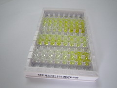 ELISA Kit for Peroxisome Proliferator Activated Receptor Gamma Coactivator 1 Alpha (PPARgC1a)