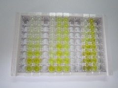 ELISA Kit for Osteocrin (OSTN)