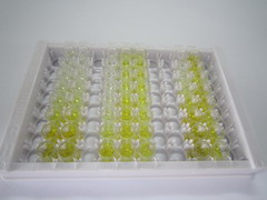 ELISA Kit for Osteocrin (OSTN)