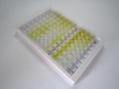 ELISA Kit for N-Acetylgalactosaminidase Alpha (NAGa)