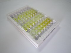 ELISA Kit for Mesothelin (MSLN)