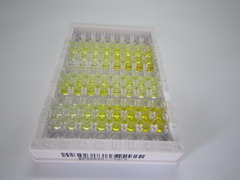 ELISA Kit for Mannose Phosphate Isomerase (MPI)