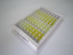 ELISA Kit for Microphthalmia Associated Transcription Factor (MITF)