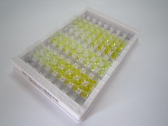 ELISA Kit for Meteorin (METRN)