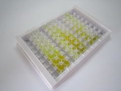 ELISA Kit for Leucyl/Cystinyl Aminopeptidase (LNPEP)