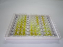 ELISA Kit for Klotho Beta (KLb)