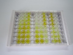 ELISA Kit for Klotho Beta (KLb)