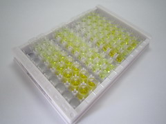 ELISA Kit for Klotho (KL)