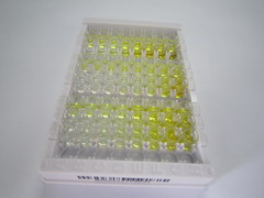 ELISA Kit for Inter Alpha-Globulin Inhibitor H5 (ITIH5)