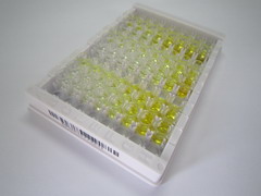 ELISA Kit for Inter Alpha-Globulin Inhibitor H5 (ITIH5)