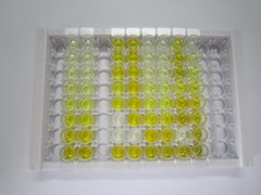 ELISA Kit for Inter Alpha-Globulin Inhibitor H2 (ITIH2)