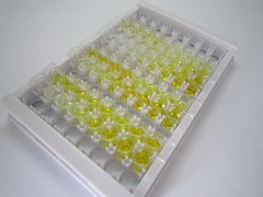 ELISA Kit for Interleukin 1 Receptor Accessory Protein (IL1RAP)