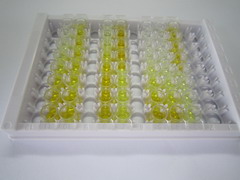 ELISA Kit for Interleukin 1 Receptor Like Protein 1 (IL1RL1)