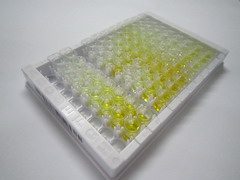 ELISA Kit for Interleukin 18 Binding Protein (IL18BP)